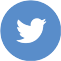 Twitter Icon